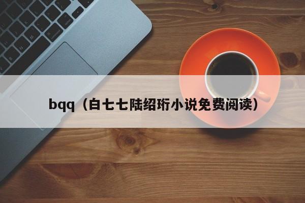bqq(白七七陆绍珩小说免费阅读)
