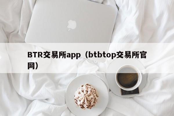 BTR交易所app(btbtop交易所官网)