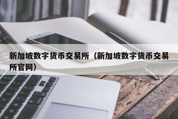 新加坡数字货币交易所(新加坡数字货币交易所官网)