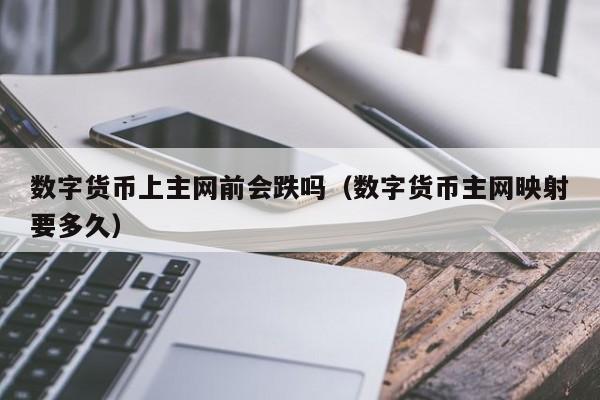 数字货币上主网前会跌吗(数字货币主网映射要多久)