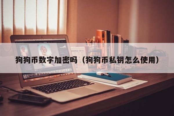 狗狗币数字加密吗(狗狗币私钥怎么使用)