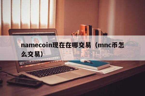 namecoin现在在哪交易(mnc币怎么交易)