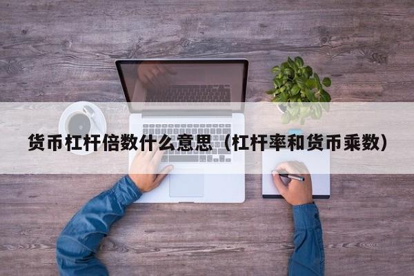 货币杠杆倍数什么意思(杠杆率和货币乘数)
