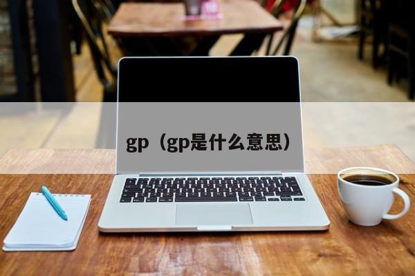 gp(gp是什么意思)