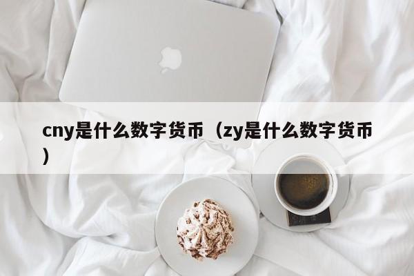 cny是什么数字货币(zy是什么数字货币)