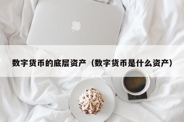 数字货币的底层资产(数字货币是什么资产)