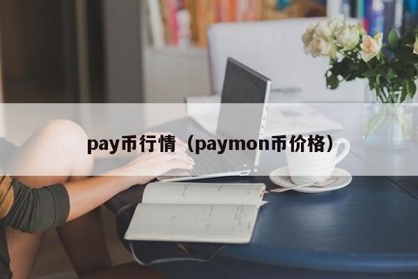 pay币行情(paymon币价格)