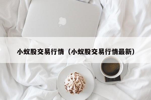 小蚁股交易行情(小蚁股交易行情最新)