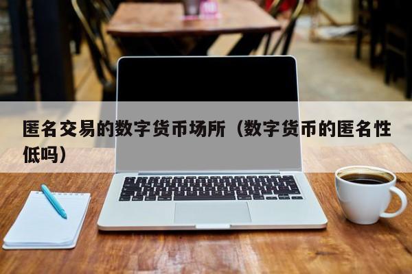 匿名交易的数字货币场所(数字货币的匿名性低吗)