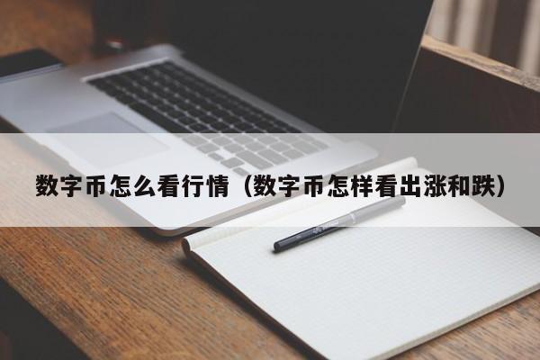 数字币怎么看行情(数字币怎样看出涨和跌)