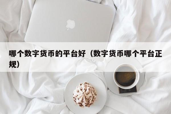 哪个数字货币的平台好(数字货币哪个平台正规)